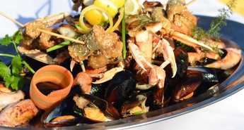 Dnevi dalmatinske kuhinje in škampijada