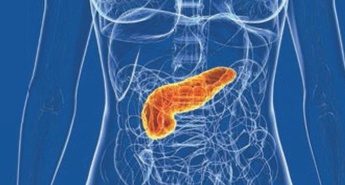 Svetovni dan ozaveščanja o raku trebušne slinavke
