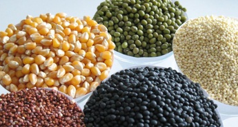 Zbiranje zdrave hrane in brezglutenskih živil za otroke iz socialno ogroženih družin