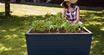 Visoke vrtnarske grede