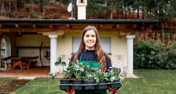 Kako izbrati primerne rastline za vaš vrt?