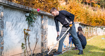 Kaj moramo na vrtu postoriti novembra?