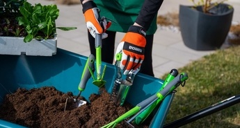 Februarski vrtnarski nasveti