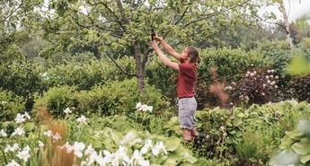 FISKARS VRTNI PROGRAMI