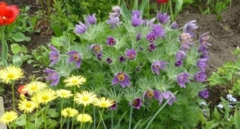 Eurogardnovi nasveti za mesec april