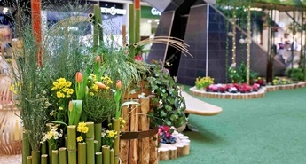 Cvetoča oaza navdiha