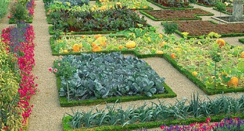 Eurogardnovi nasveti za mesec junij