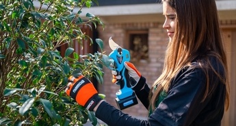 Zakaj je potrebna zimska rez sadnega drevja?