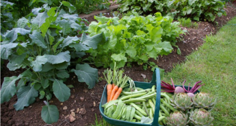 Nasveti za mesec september