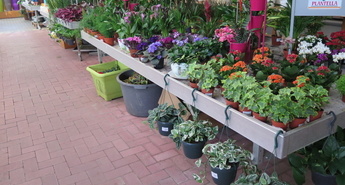 Vrtni dnevi v Eurogardnu!