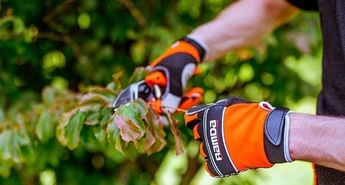 Eurogarden: Nasveti za mesec junij