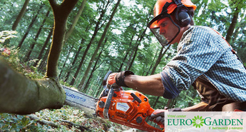 Dobra gozdarska oprema za varno delo v gozdu