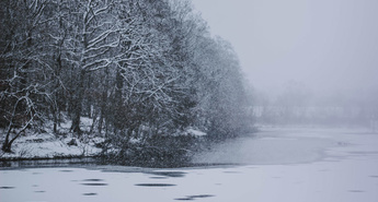 Eurogardnovi nasveti za mesec januar