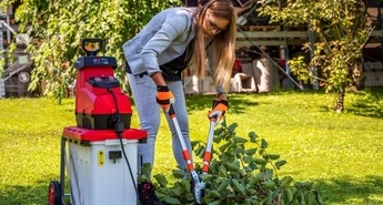 Kako za sadni vrt skrbimo poleti?