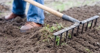 Eurogardnovi nasveti za mesec marec