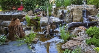 Prva pomladanska dela v vrtnem ribniku