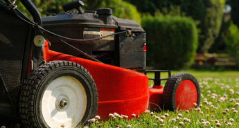 Eurogardnovi nasveti za mesec oktober