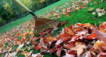 Eurogardnovi nasveti za mesec november