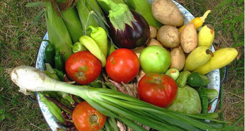 Eurogardnovi nasveti za mesec Avgust