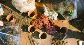 Eurogardnovi nasveti za mesec februar