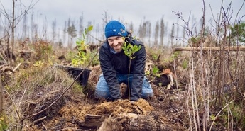 Pobude, naj posamezniki sami prispevajo k obnovi gozdov 