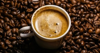 Kava – tekoče zlato prihodnosti 