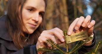 Zlata nalepka okrasnih drevesc 