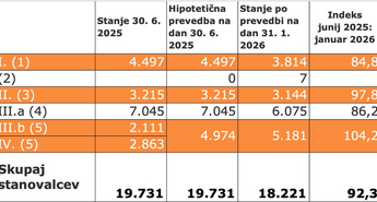 Višina pavšala omogoča razvoj dejavnosti