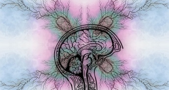 Mednarodni dan epilepsije