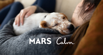 Danes je otožni ponedeljek