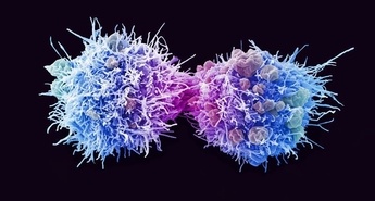 Imamo učinkovito orodje, ki bo preprečilo raka