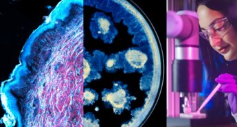 Zgodovinski napredek v znanstvenem sodelovanju 